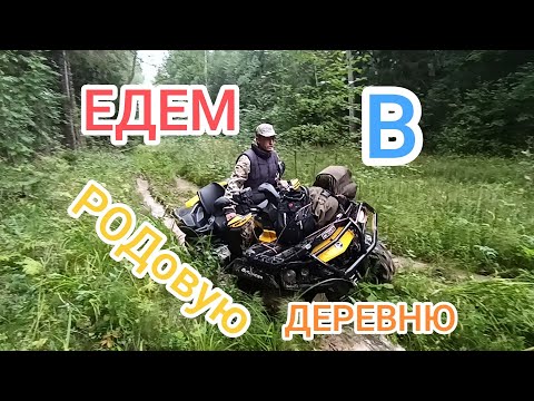 Видео: Балашово. Что изменилось за 20 лет.