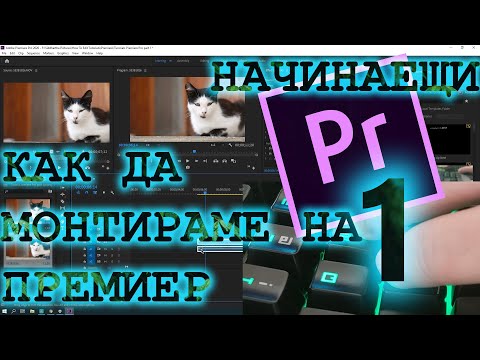 Видео: Как Да Монтираме На Премиер За Начинаещи 1