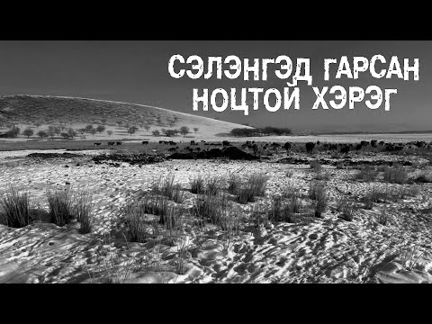 Видео: Хүйтний амыг чиглэсэн хөтөлгөө морьтой Рагчаа