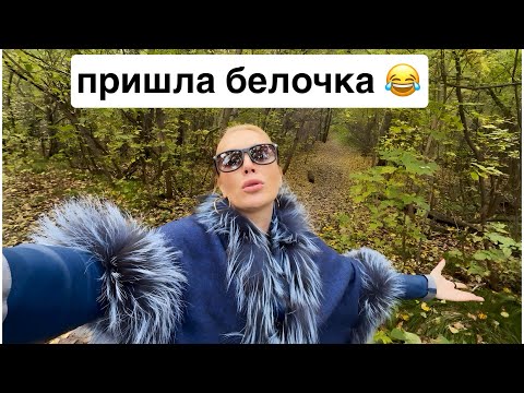 Видео: День 67 - зубная фея сомелье // малиновое вино// пришли белочки