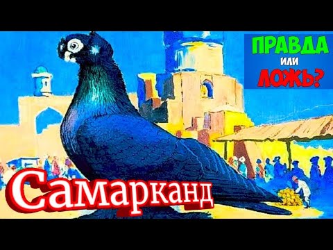 Видео: Проверяем продавцов на честность. Покупаем голубей и отпускаем в небо.Птичий рынок Самарканд.