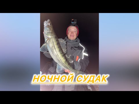 Видео: НЕ ОЖИДАЛ ТАКОГО КЛЁВА НОЧЬЮ! СУДАК В УДАРЕ!