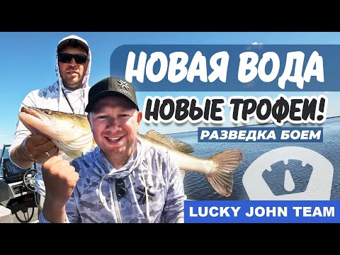 Видео: НАШЛИ МЕСТО С НЕ ТРОНУТЫМИ СУДАКАМИ - КЛЁВАЯ РЫБАЛКА В РАЗГАРЕ ЛЕТА!