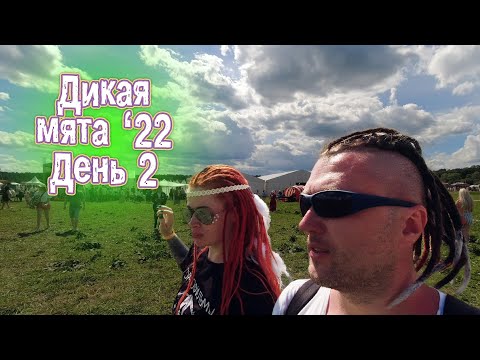 Видео: Дикая Мята день 2, The Hatters, Быт на фестивале
