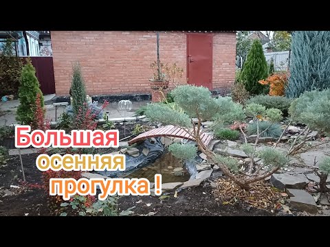 Видео: ОСЕННЯЯ прогулка-рассуждалка! Посадила НОВИНКИ!