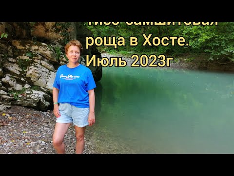 Видео: Тисо-самшитовая роща в Хосте. Июль 2023г#хоста #сочи #хостаотдых