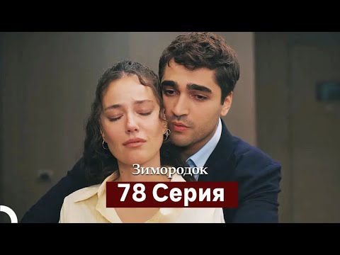 Видео: Зимородок 78 Cерия (Русский дубляж)