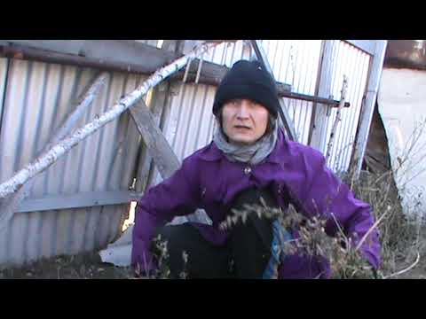 Видео: ЧИЩУ ОГОРОД. РВУ БОТВУ, ТРАВУ ДЛЯ ЗАЕЗДА ГРУЗОВИКА С УГЛЁМ. РАБОТАЮ ГРАБЛЯМИ. ПУШОК, БИМ И ТУЗИК. +8