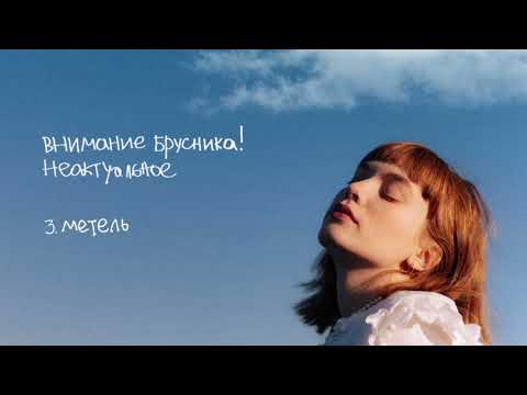 Видео: внимание брусника! – метель