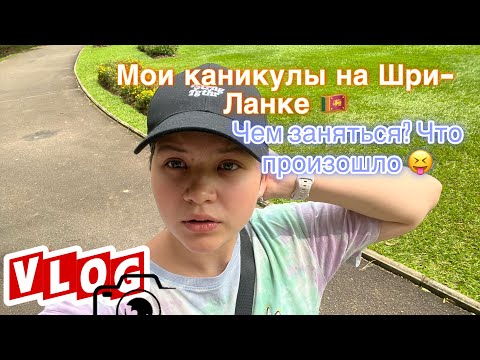 Видео: Vlog из Шри-Ланки 🇱🇰🇱🇰🇱🇰🐘🌏