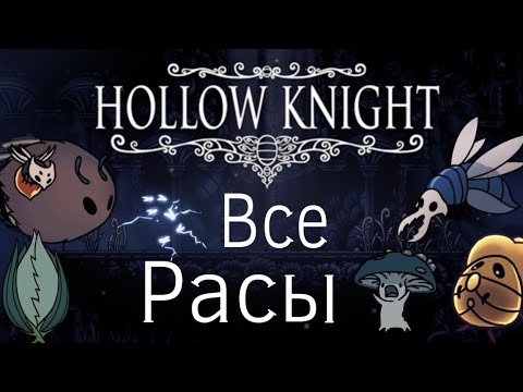 Видео: Все Расы Халлоунеста в Hollow Knight
