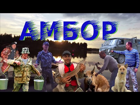 Видео: Амбор. Тайна Царского бора.