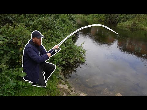 Видео: Не могу поверить, что поймал речного гиганта!