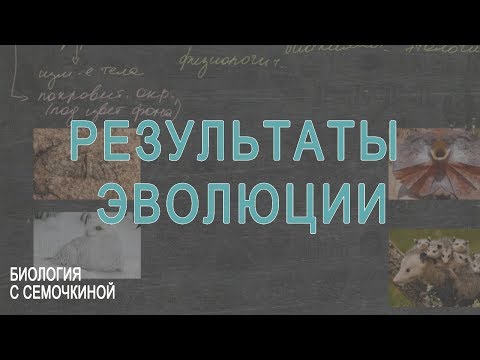 Видео: Результаты эволюции