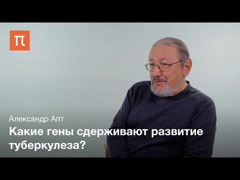 Видео: Диагностика и лечение туберкулеза Александр Апт