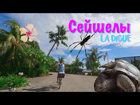 Видео: 🔥 Я провел 3 дня на острове La Digue на Сейшелах и открыл секрет гигантских черепах!