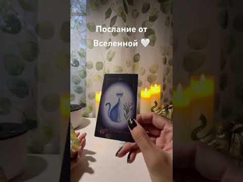 Видео: Послание от Вселенной 🤍 #таро #369 #shorts #tarot