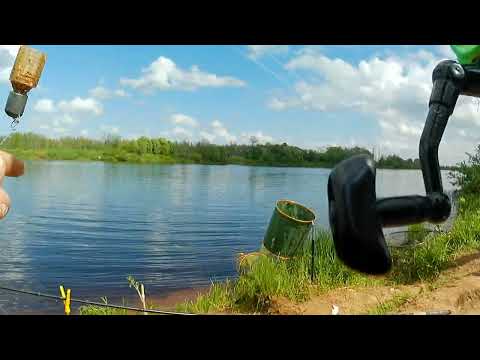 Видео: Первая рыбалка в этом сезоне на Луге
