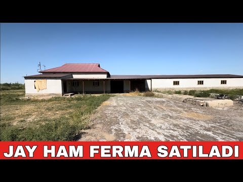 Видео: ЖАЙ ХАМ ФЕРМА САТЫЛАДЫ