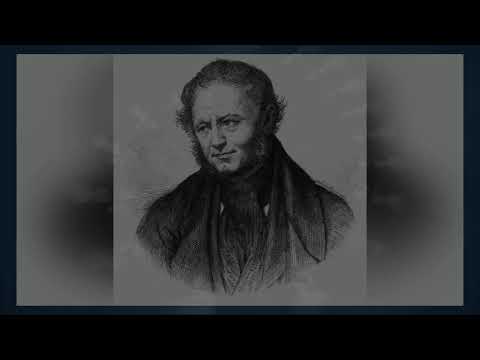 Видео: Жаринов Е.В. - Красное и черное