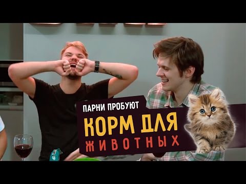 Видео: Парни пробуют КОРМ ДЛЯ ЖИВОТНЫХ ☑️