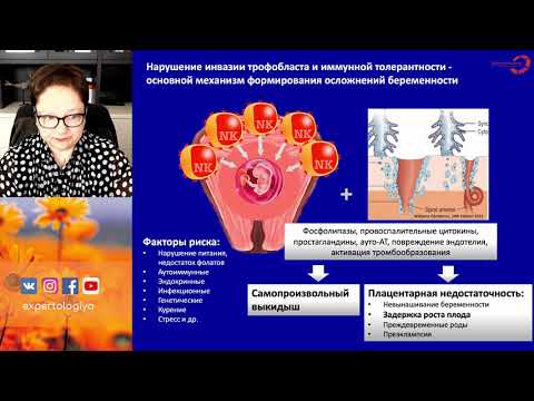 Видео: Экспертология | Задержка роста плода - эпигенетическая регуляция и коррекции