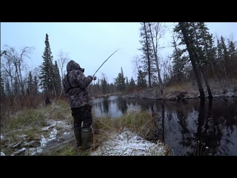 Видео: ЛОВИМ мохтика, сорогу зимой с болота на летнюю удочку!!! Сибирская рыбалка 2024г