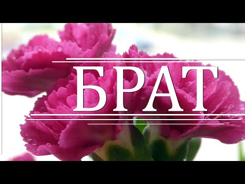 Видео: Любимый брат (стихи для тебя, мой дорогой)