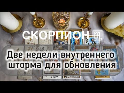 Видео: Скорпион ♏️ таро и гороскоп с 13 по 26 октября 2025