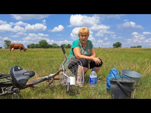 Видео: Работы прибавилось, у нас пополнение!