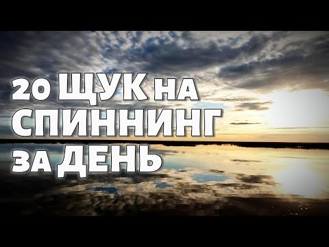Видео: 20 ЩУК на СПИННИНГ за ДЕНЬ