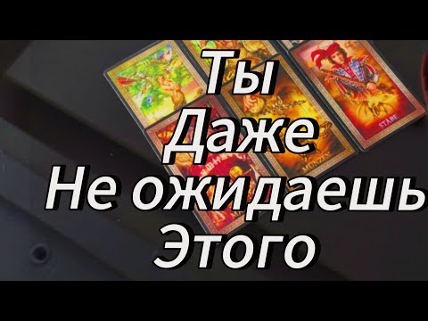 Видео: Шок 🤯 ТЫ ДАЖЕ НЕ ОЖИДАЕШЬ ЭТОГО ‼️🙈😲