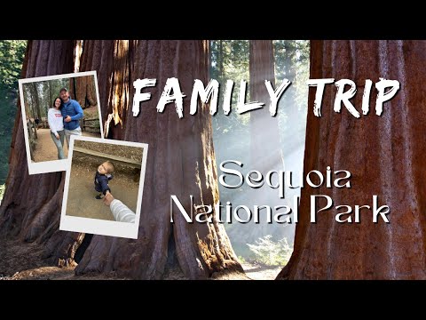 Видео: Трип в Sequoia Park на Tesla. Машина не для путешествий!