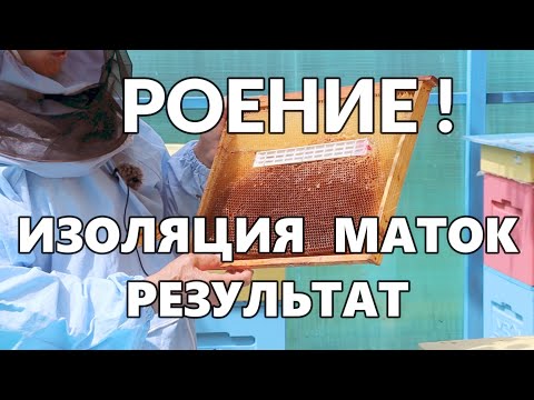 Видео: Изоляция маток на период роения.