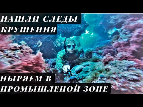 Видео: Фридайвинг в промышленной зоне Франция . Научный Буй . Следы авиакатастрофы .