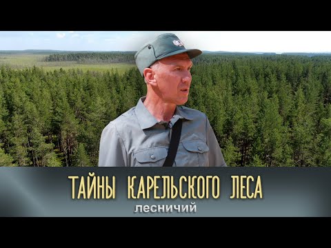 Видео: ЛЕСНИЧИЙ | Тайны карельского леса