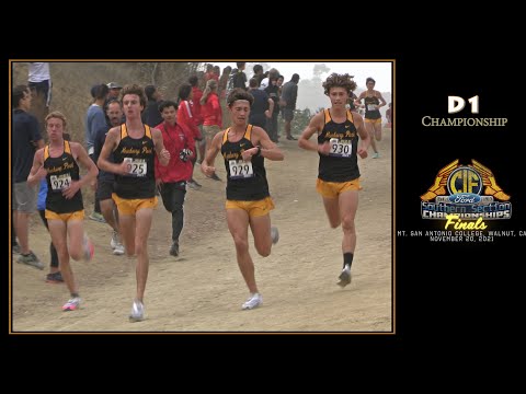 Видео: 2021 XC - CIF-ss ФИНАЛЫ 9 (юноши, чемпионат D1)