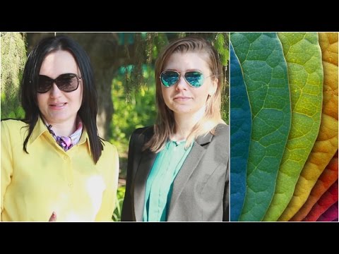 Видео: Ваши ОСВЕЖАЮЩИЕ цвета: ЯРКИЕ и ПРИГЛУШЕННЫЕ