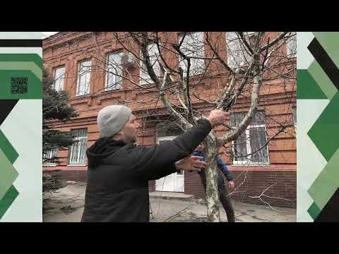 Видео: Еко-толока «Ми – за чисте довкілля!»