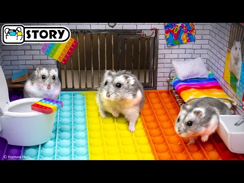 Видео: 🐹 Хомяк сбегает из Pop It лабиринта - Часть 2 🐹 Хомура Хам Питомцы
