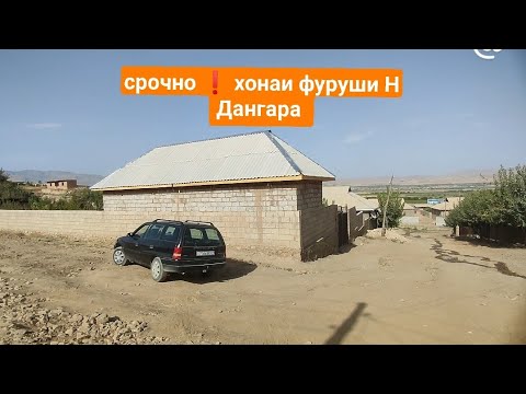 Видео: 1 августа 2025 г.