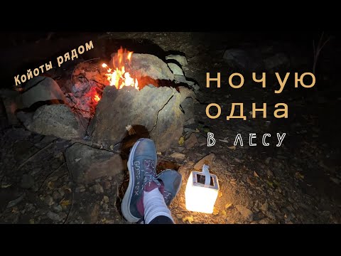 Видео: Одиночный поход с ночёвкой. Разговоры у костра.