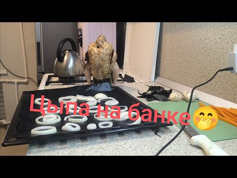 Видео: Первый опыт не для слабонервных 🙃