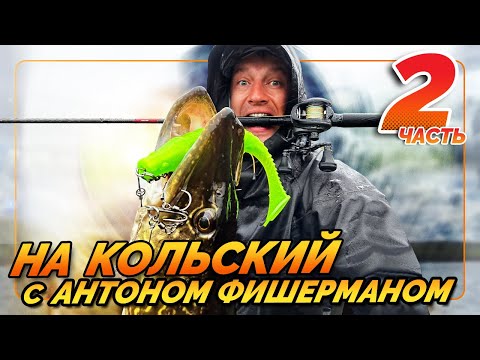 Видео: Ловля щуки на Кольском полуострове. БЕЗ Паноптикса)) #рыбалка_с_фишерманом