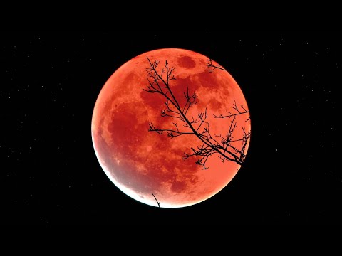 Видео: ‼️ПЛАНЫ ВРАГА НА ЛУННОЕ ЗАТМЕНИЕ ⁉️