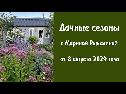 Видео: Дачные сезоны с Мариной Рыкалиной от 8 августа 2024 года