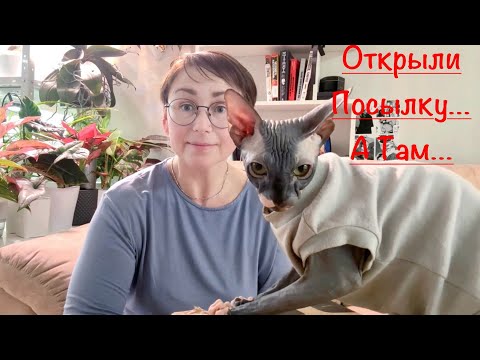 Видео: Распаковка посылки с кашпо от Галереи (Рукоделия) Цветов🤗