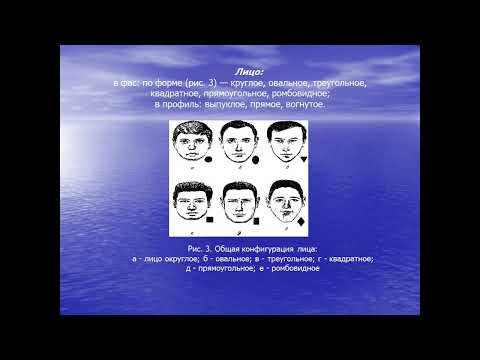 Видео: Криминалистическое учение о внешних признаках человека