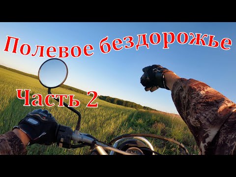 Видео: На Suzuki Djebel 200 вдвоём. Часть 2.  Полевое бездорожье. 06.07.2021 г.