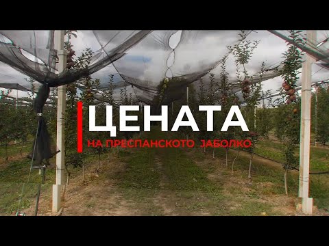 Видео: Документарен филм „Цената на преспанското јаболко“